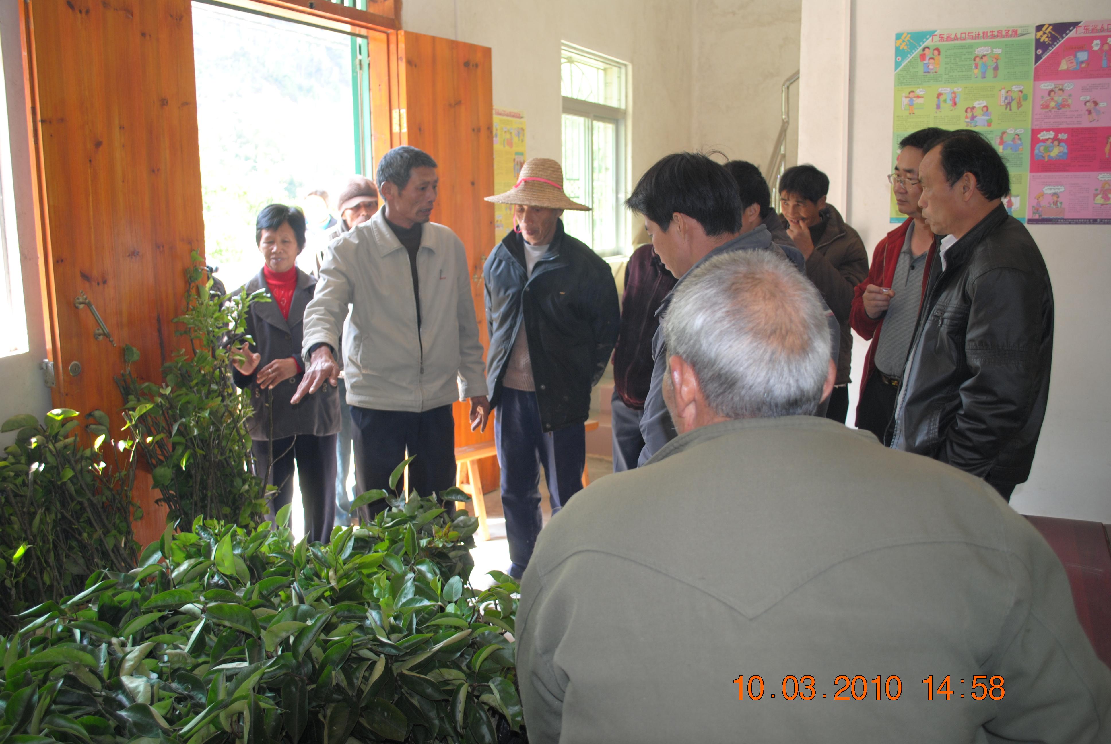图为早熟蜜梨种植实用技术培训班技术员讲述现场